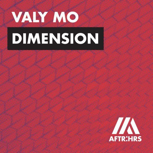 Dimension Dimension